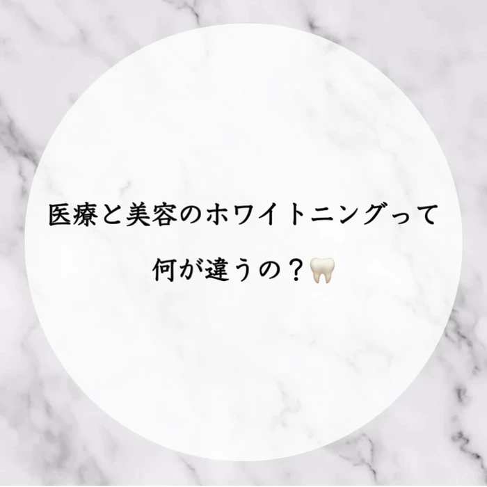画像255